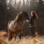 Equine Insurance