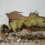 Slab Leak